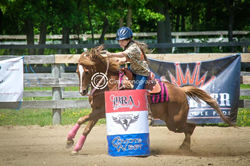 11407243_861617573893525_179227696347077