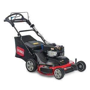 30 in. (76 cm) TimeMaster® w/Personal Pace® Gas Lawn 21219