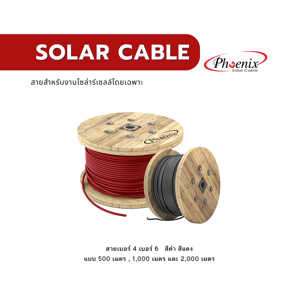 สายโซล่า ฟินิกส์ - Phoenix