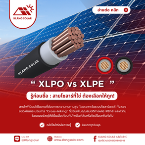 รู้ก่อนซื้อ ไม่เสียเงินฟรี! XLPO vs XLPE: สายโซลาร์ที่ใช่ ต้องเลือกให้ถูก!