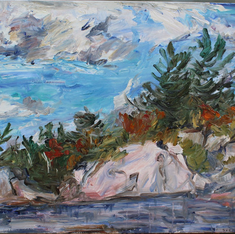 Shoreline, Clark Island, Sept. 9, 2008