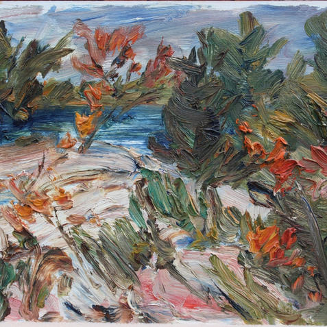 Dillon, Georgian Bay, 2014
