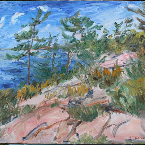 Summer Landscape, Georgian Bay, April 17, 2009