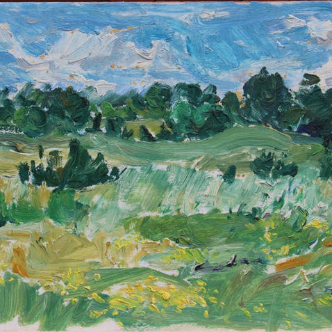 Kitchen Road, Port Ryerse, July 29, 1992