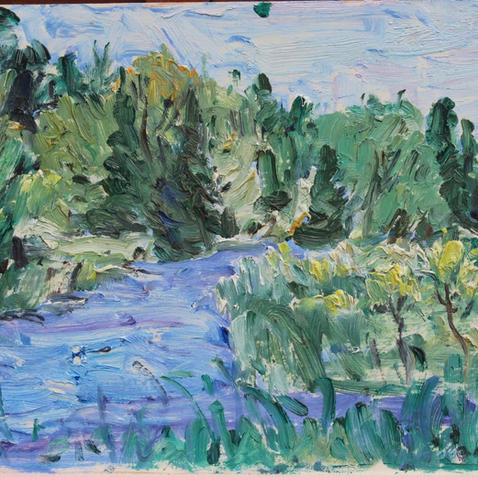Cedar Swamp, Port Dover, 1998