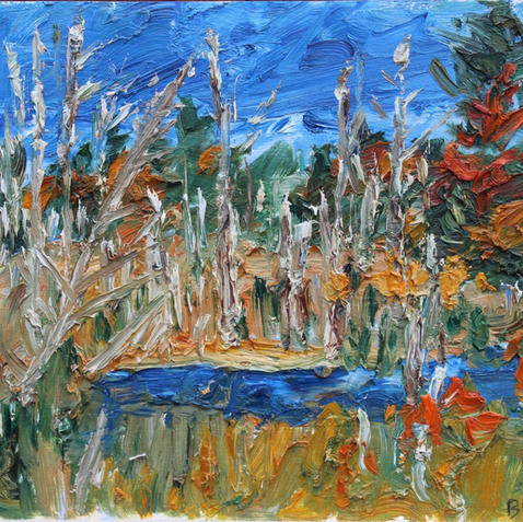 A Georgian Bay Bog, Oct. 11, 2012