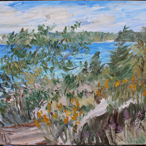 Lion's Head, June 2, 2009
