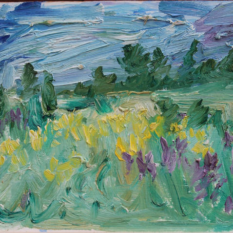 Early Summer Fields, Bruce County, July 2, 2008