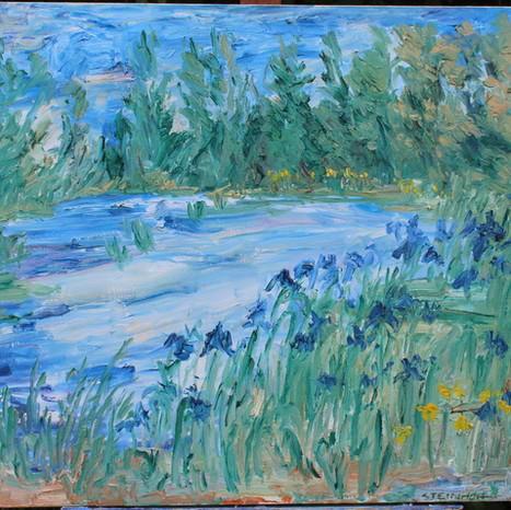 Munzar's Pond, April 6, 2011