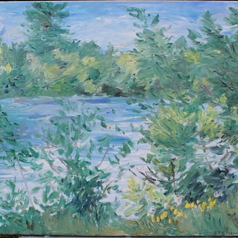 Lynn River, Spring, May 15, 2009