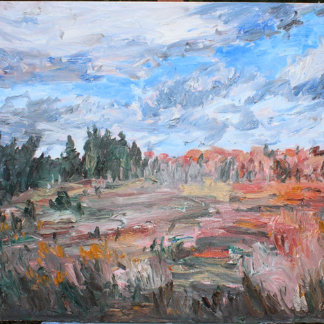 Late Afternoon October, Mildmay, Oct. 28, 2003