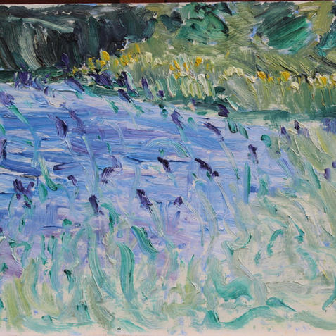 Violet Flowers, Munzar's Pond, 1995