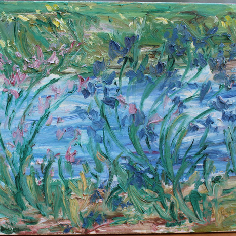 Iris and Creek, Port Ryerse, July 16, 2011