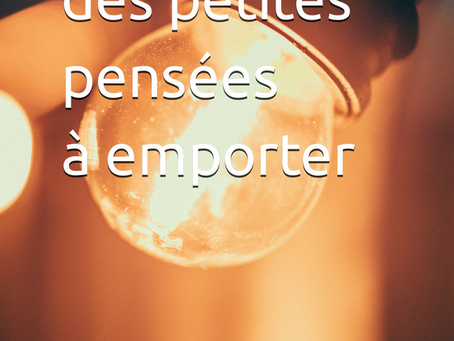 Ni pdf ni ebook pour le "guide rapide des petites pensées à emporter".