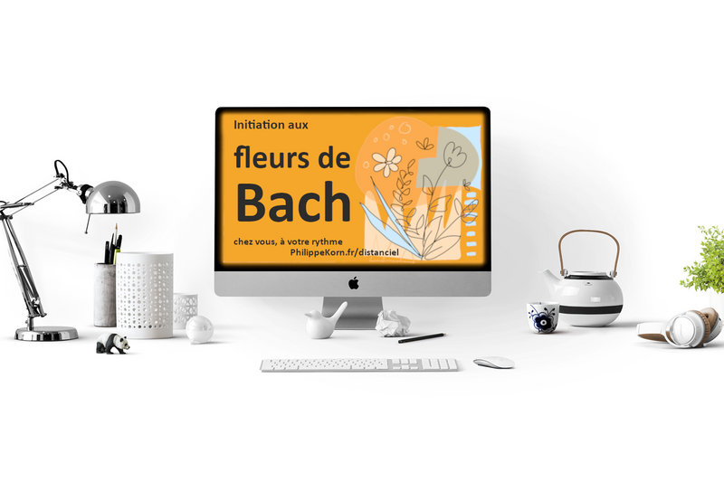 Apprenez chez vous, à votre rythme, l'essentiel des fleurs du Dr Bach pour une utilisation au quotidien. Cette formation en ligne vous permettra de faire de ces merveilleux élixirs floraux une routine émotionnelle.