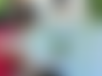 Building Our Stock Tank Pool (A Backyard Project I’d 100% Do Again)