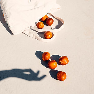 mathilde-langevin-ysiirVhCZ2Q-unsplash (1)_edited.jpg