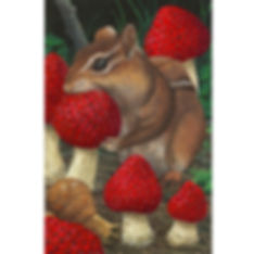 Fruity Fungi