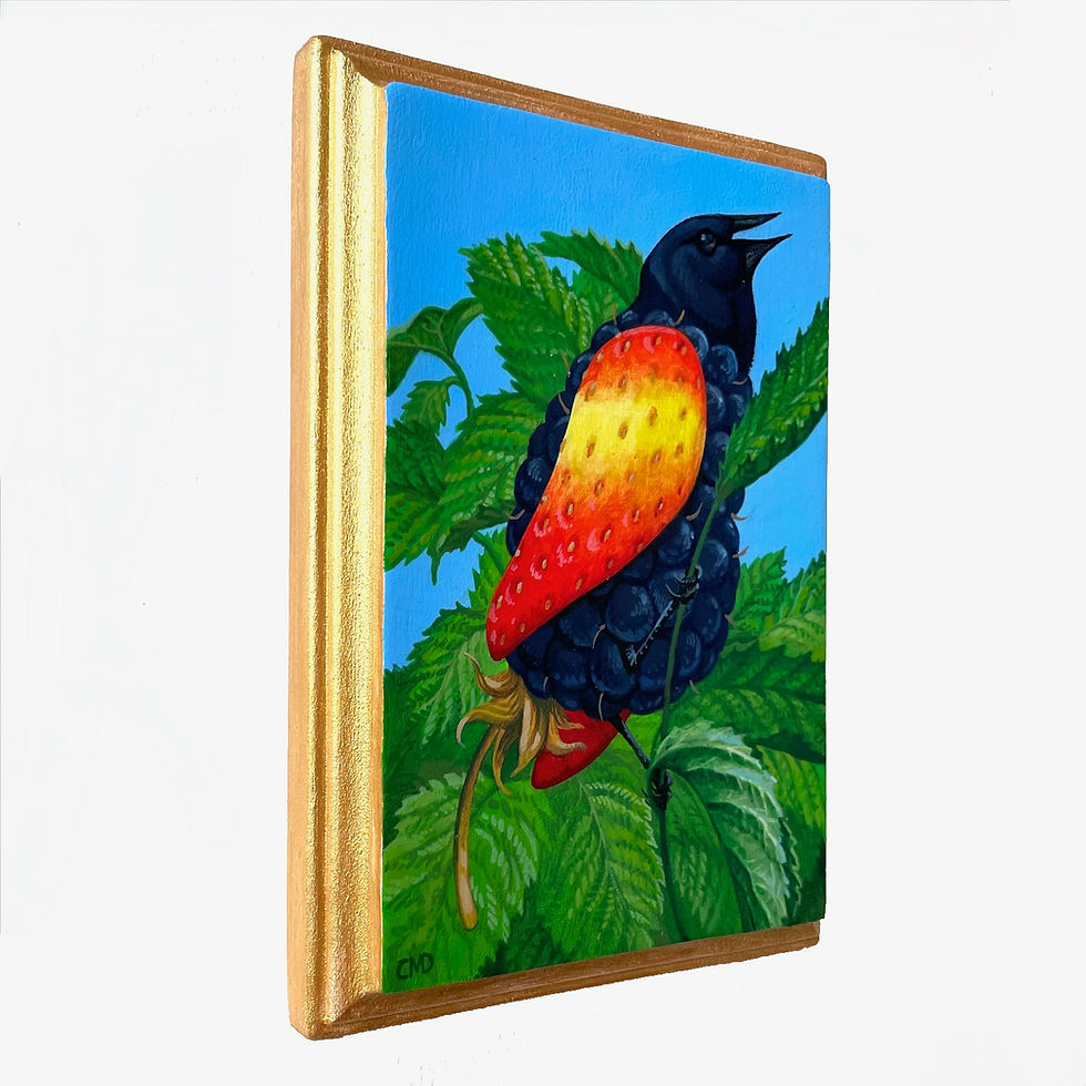Thumbnail: Red-Winged Blackberry Bird