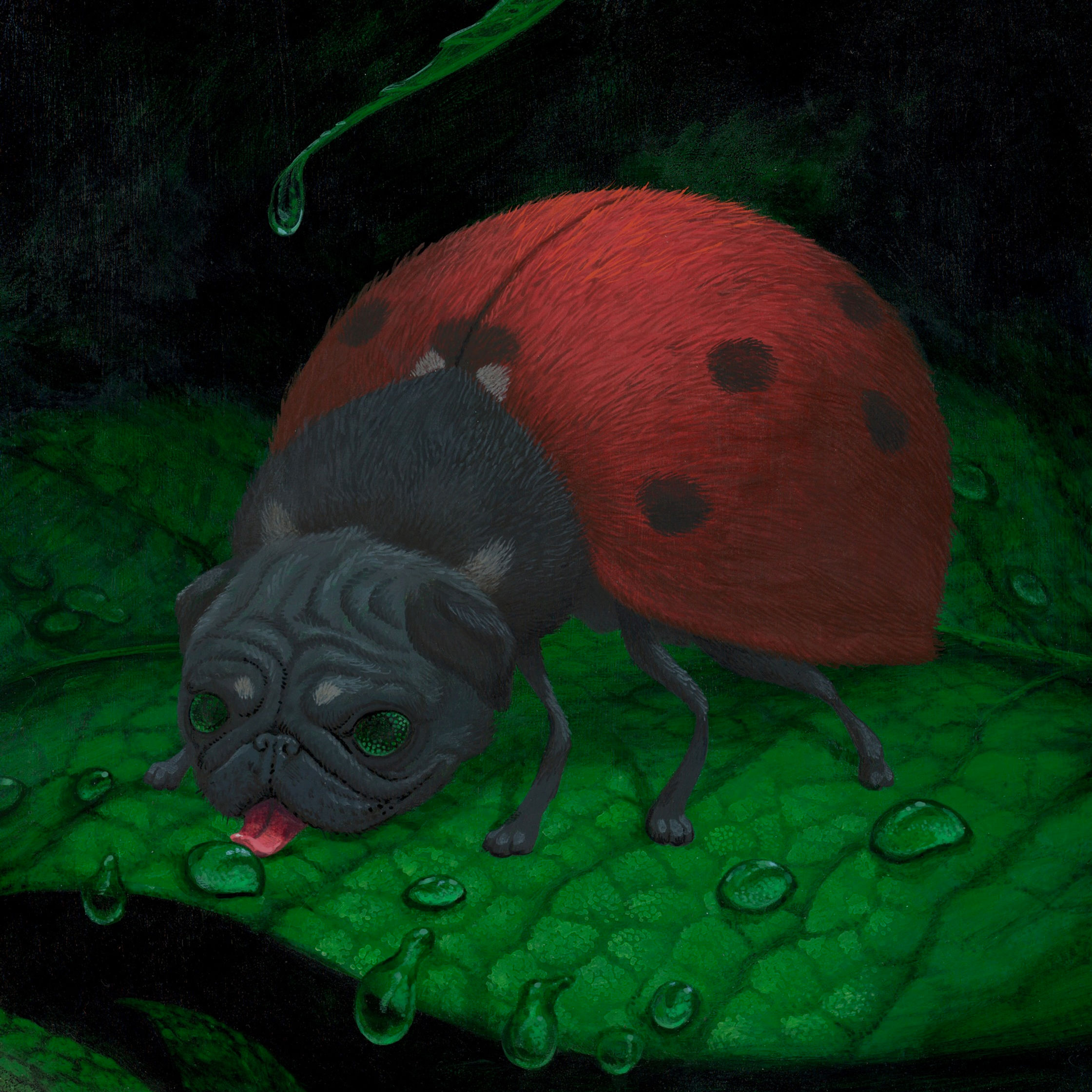 Ladypug