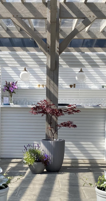 nicos outdoor kitchen.jpg