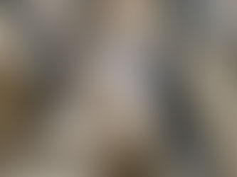 The Old City of Jerusalem