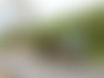 Costa Rica / Circuit Couleurs du Costa Rica / 11 jours-10 nuits