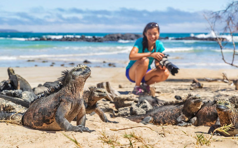 ecuador - galapagos - iguane 1.jpg
