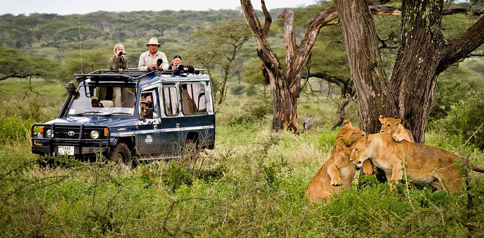 tanzania - safari-adventure-lions-tanzania.jpg