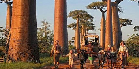 Madagascar / Circuit La Route des Baobabs / 12 jours - 11 nuits