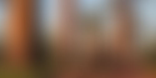 Madagascar / Circuit La Route des Baobabs / 12 jours - 11 nuits