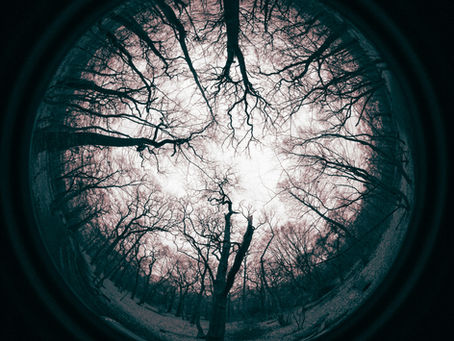 Projection: Recognizing the Creative Power of Belief in Life