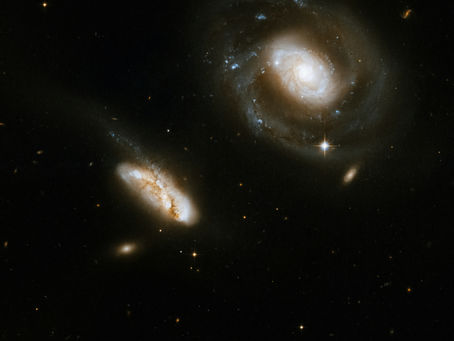 Where Discipline Meets Love: The Path That Makes Awakening Real