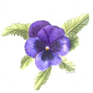 Red Violet