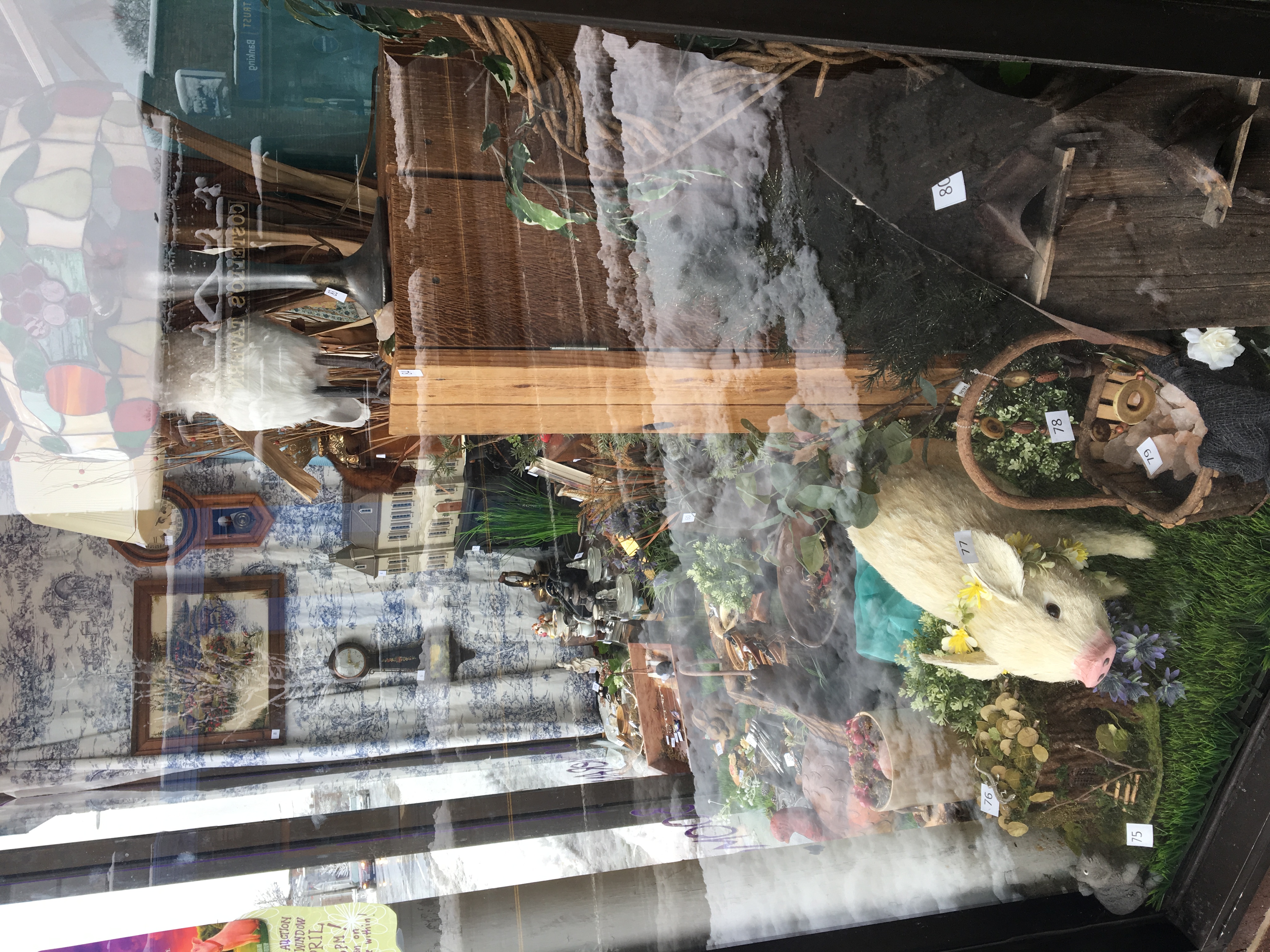 "Babe" Window