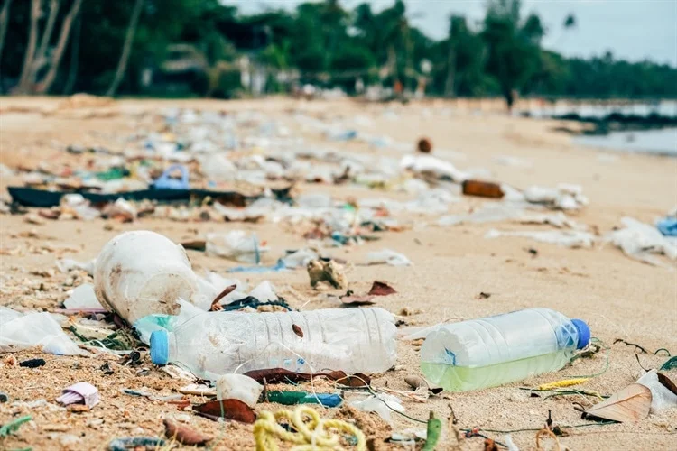 New microbial strains unleashed in the fight against plastic pollution