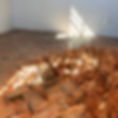 KG15.jpg