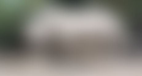 COLOMBIA TIENE UNO DE LOS TRES RINOCERONTES BLANCOS QUE EXISTEN EN EL MUNDO