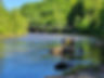 20220529_155154.jpg