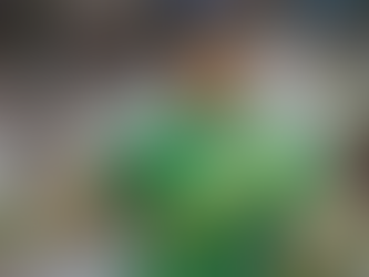 Newcastle’s Goalkeeper Problem: More Than Just Nick Pope