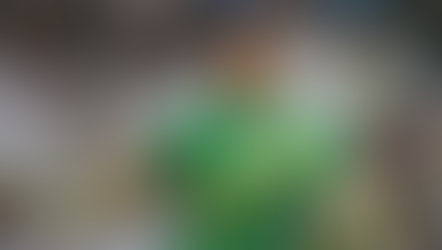 Newcastle’s Goalkeeper Problem: More Than Just Nick Pope