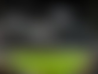 Newcastle United vs Manchester United Predicted XI: Howe Set to Return to 4-3-3