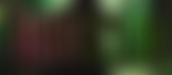 Wicked (2024) Review: Does the Spell-Binding Musical Live Up to the Hype?