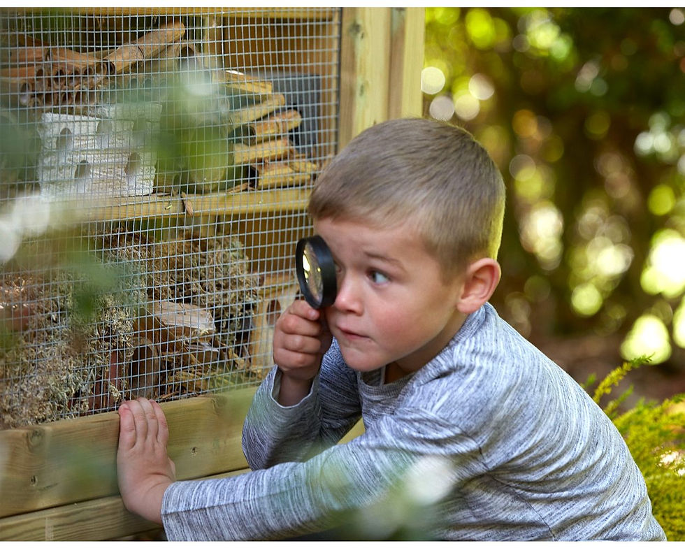 Thumbnail: Early Years Outdoor Wooden Freestanding Mini Beasts Bug Hotel