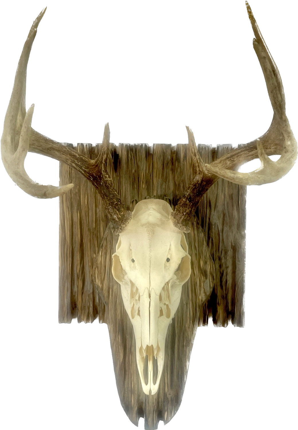 Rustic European Plaque
