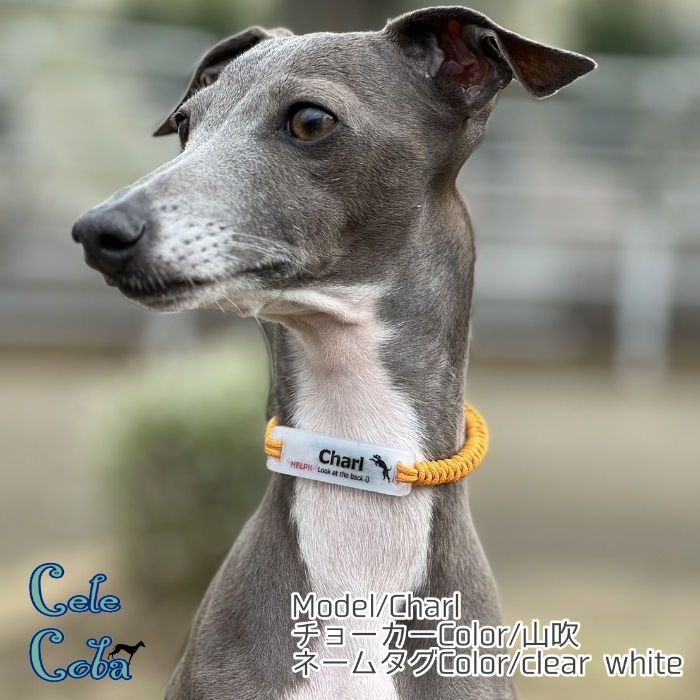 サムネイル： 金具フリー！ID TAGチョーカー(迷子札)