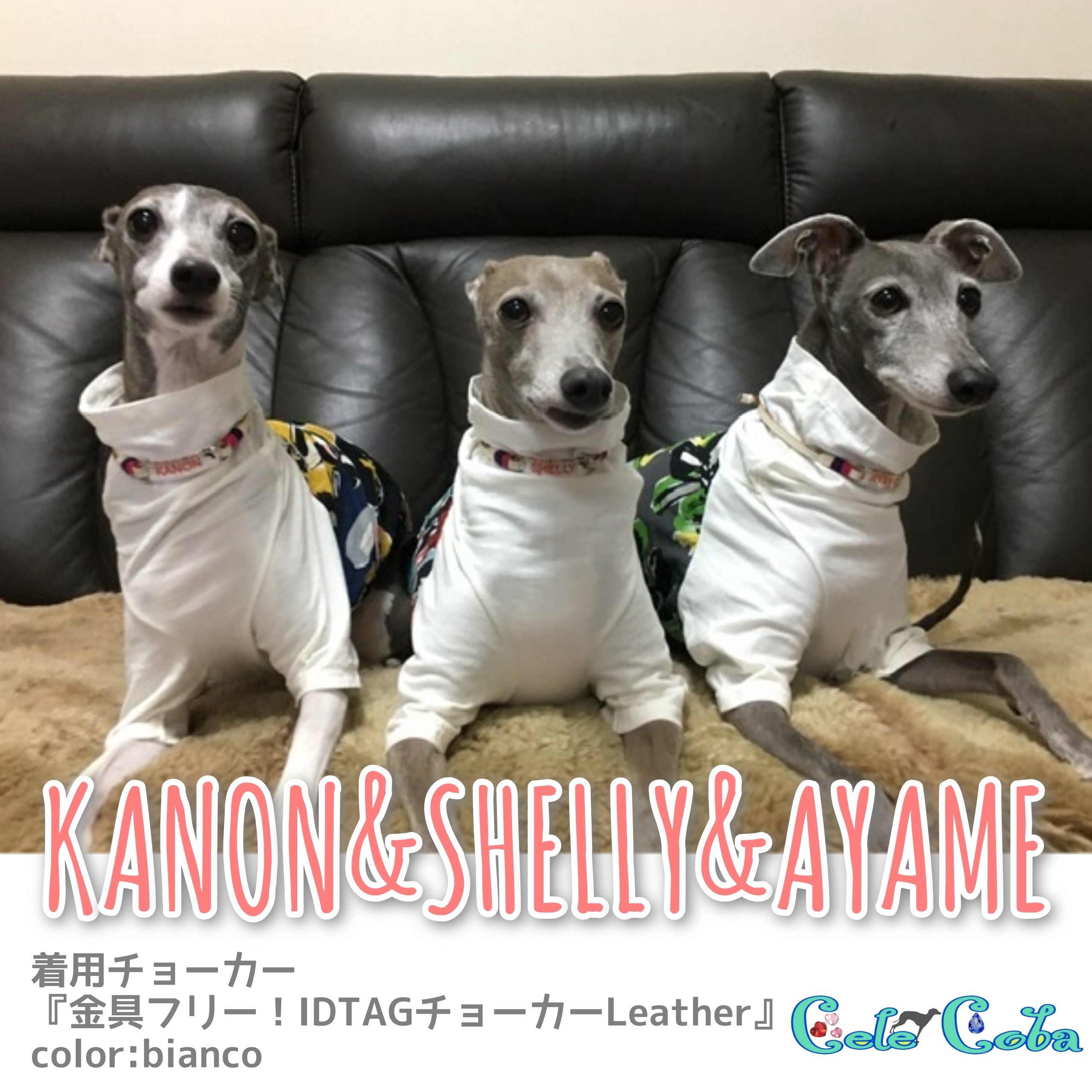 KANONさん&SHELLYさん&AYAMEさん