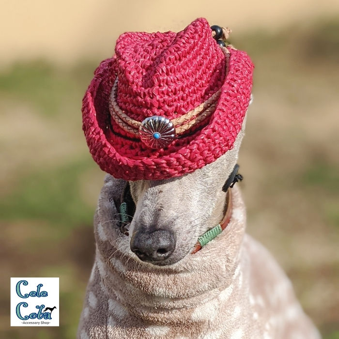 サムネイル： Cele*Coba ウエスタンハット-For Dogs