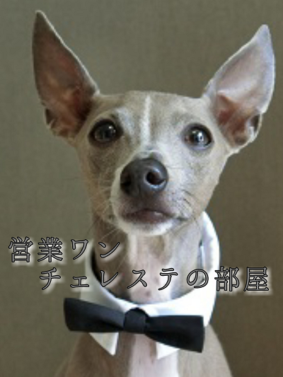 チェレステの部屋