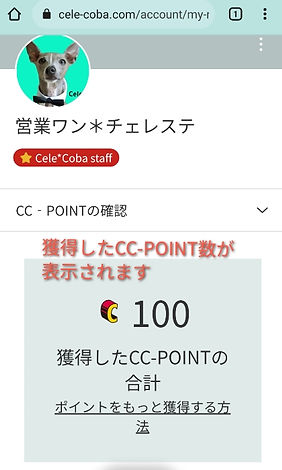 CC-P確認画面.jpg